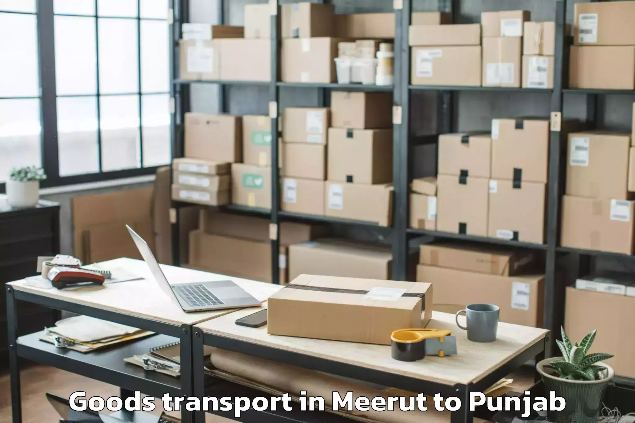 Professional Meerut to Rupnagar Goods Transport